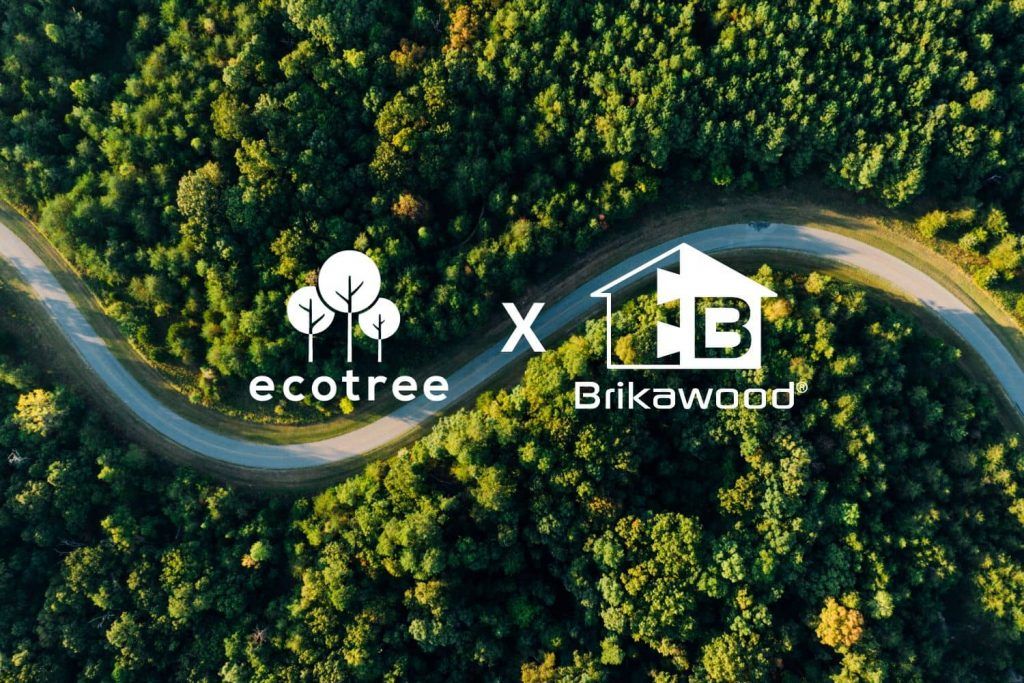 Ecotree x Brikawood